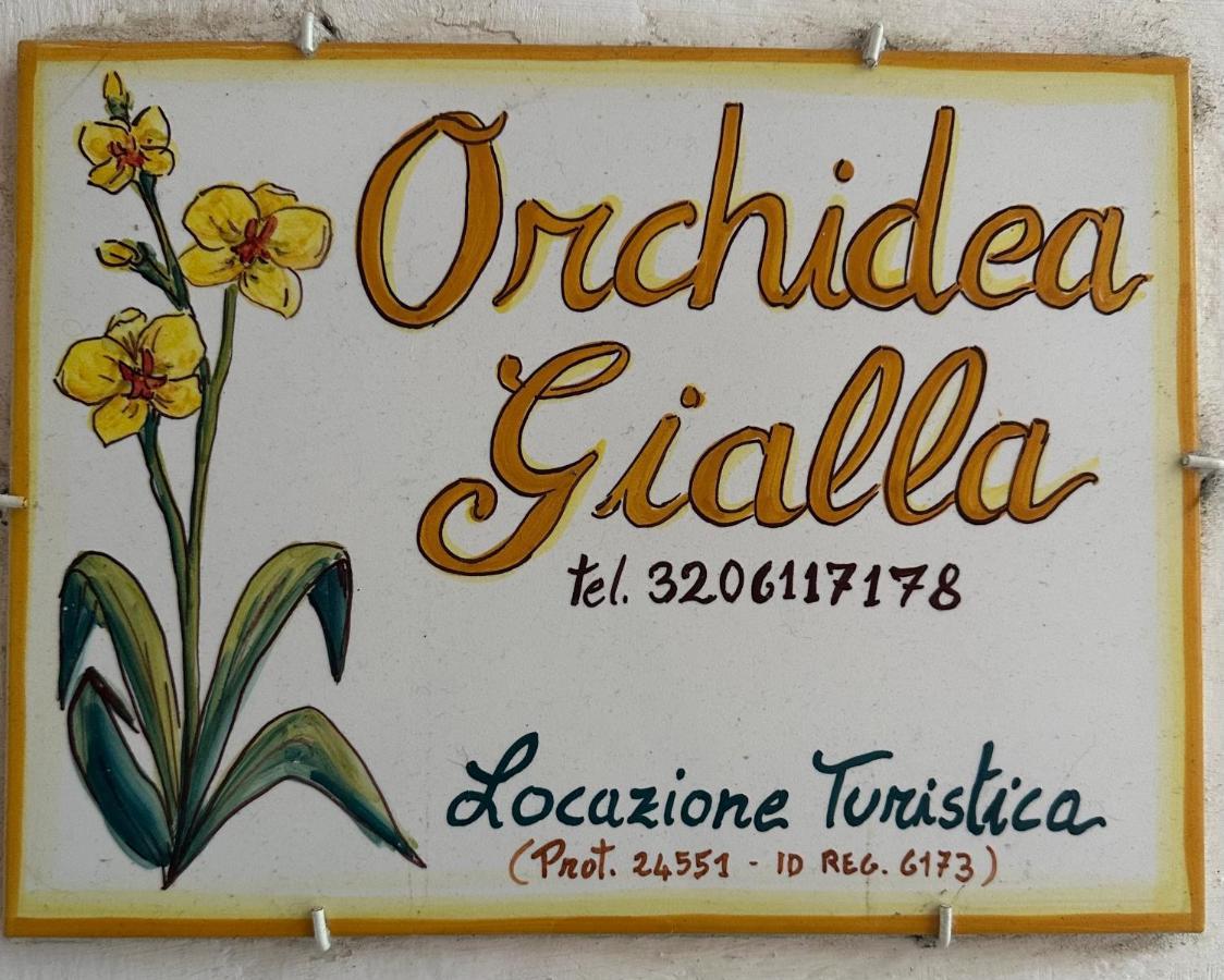 Orchidea Gialla Gaeta Kültér fotó