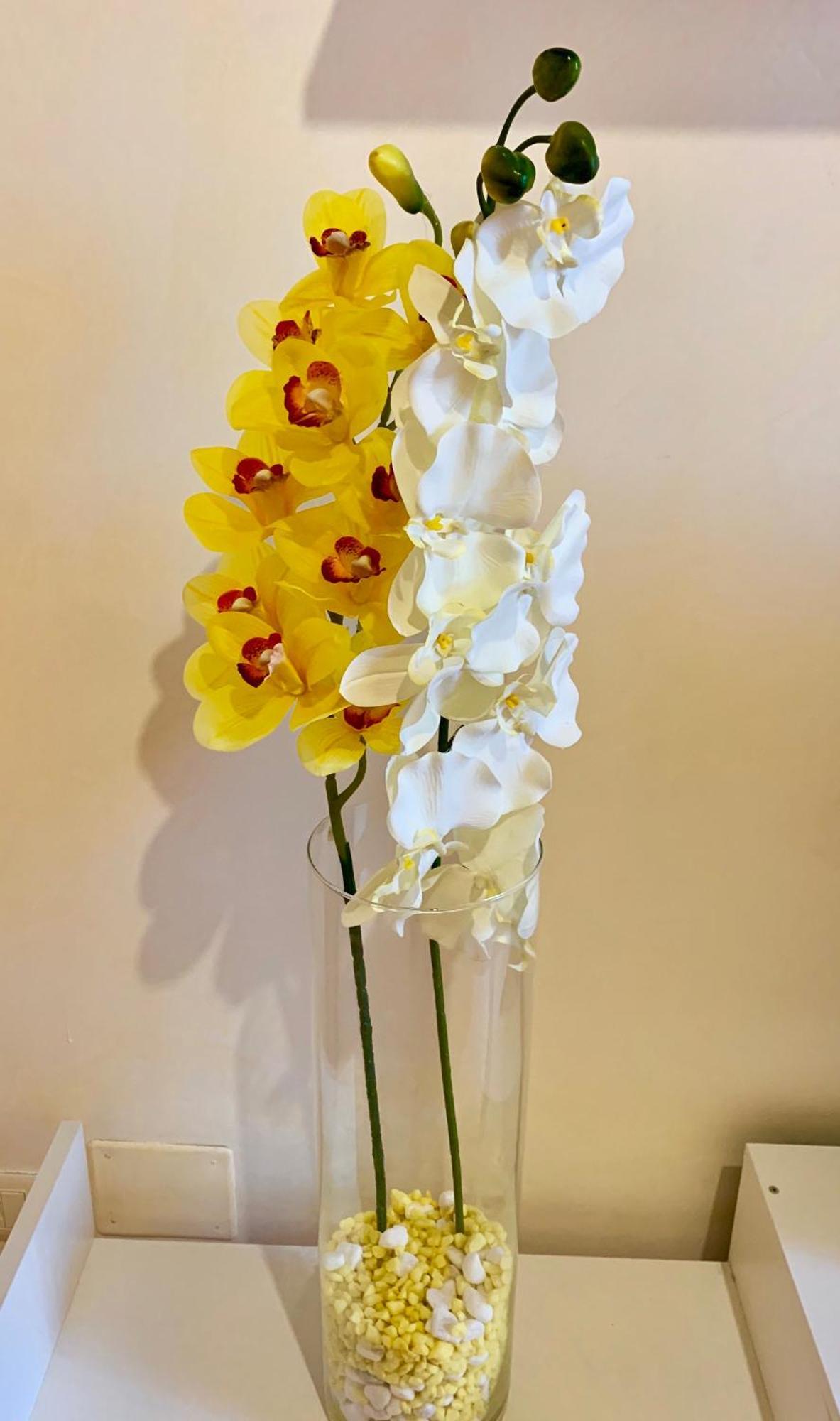 Orchidea Gialla Gaeta Kültér fotó